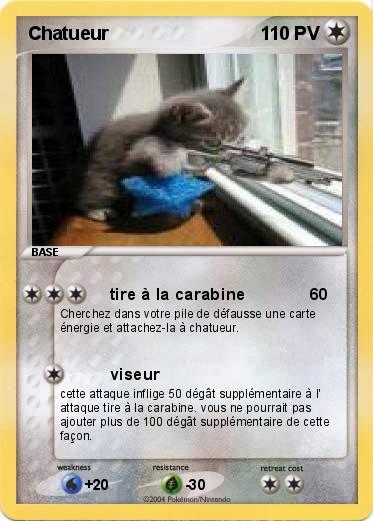 Pokemon Chatueur
