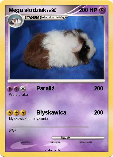 Pokemon Mega słodziak