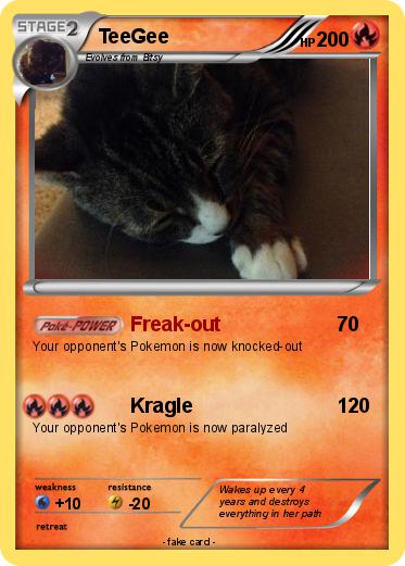 Pokemon TeeGee