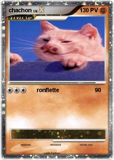 Pokemon chachon