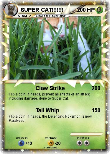 Pokemon SUPER CAT!!!!!!!