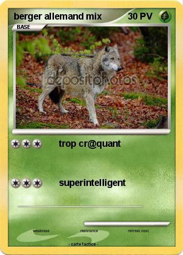 Pokemon berger allemand mix