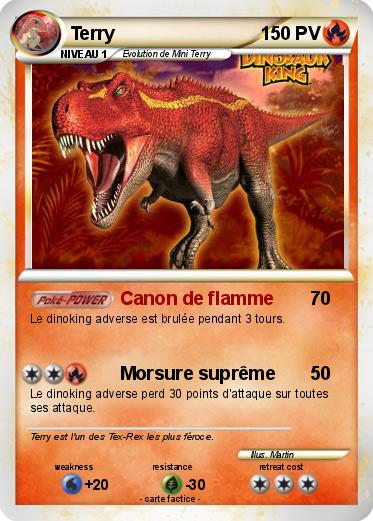 Pokemon Terry