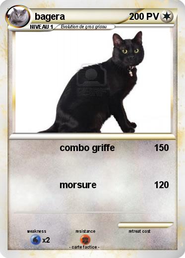 Pokemon bagera