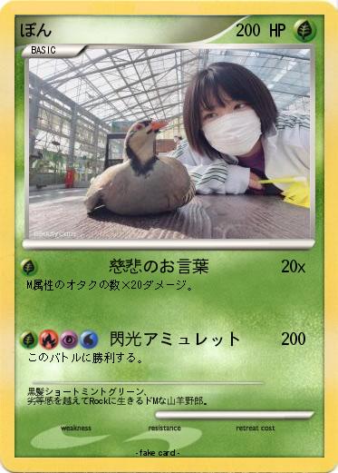 Pokemon ぽん