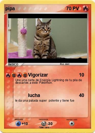 Pokemon pipa