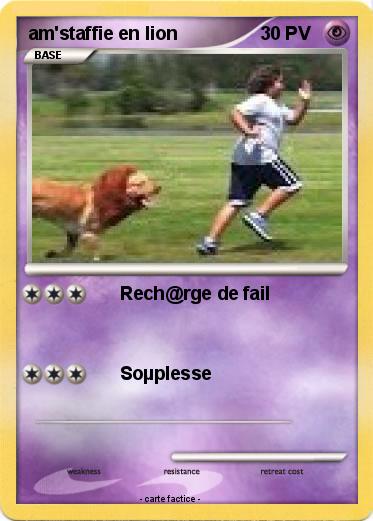 Pokemon am'staffie en lion