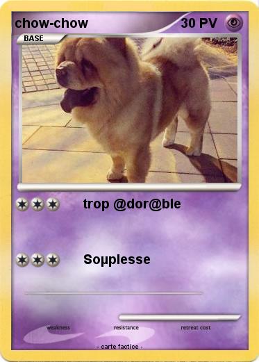 Pokemon chow-chow
