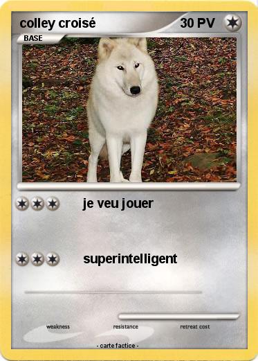 Pokemon colley croisé