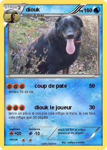 Pokemon diouk
