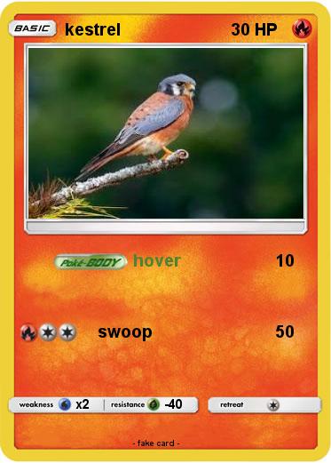 Pokemon kestrel
