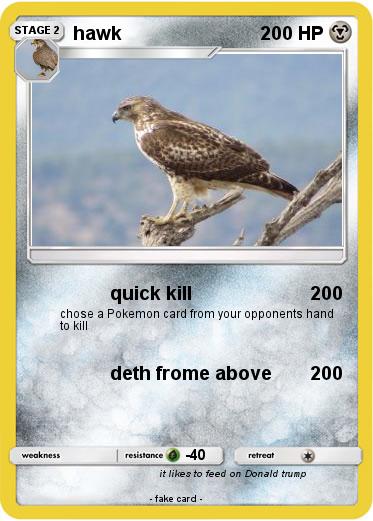 Pokemon hawk