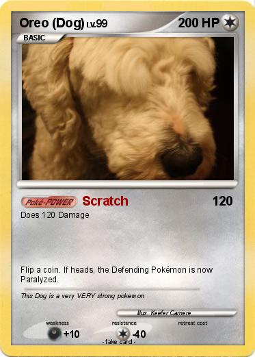 Pokemon Oreo (Dog)