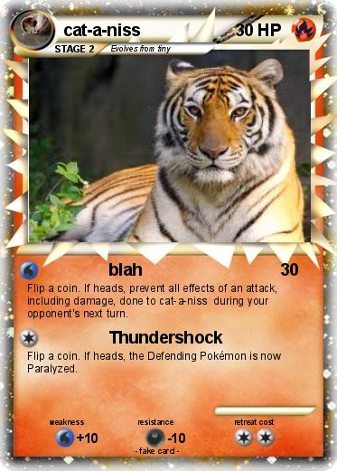 Pokemon cat-a-niss