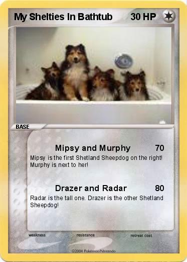 Pokemon My Shelties In Bathtub