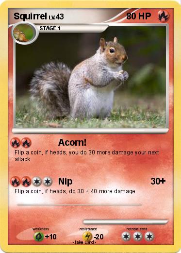Pokemon Squirrel