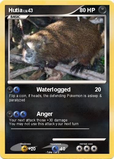Pokemon Hutia