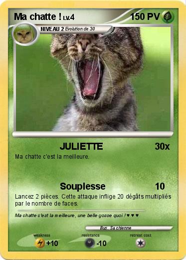 Pokemon Ma chatte !
