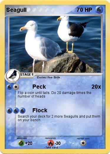 Pokemon Seagull