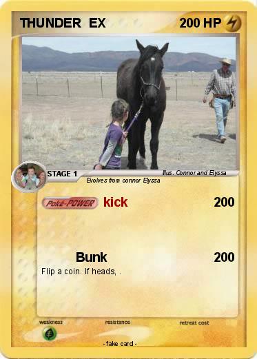 Pokemon THUNDER  EX
