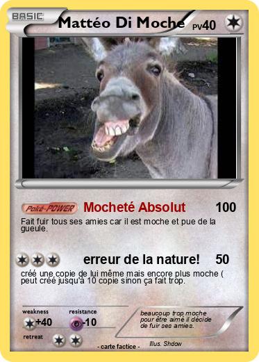 Pokemon Mattéo Di Moche