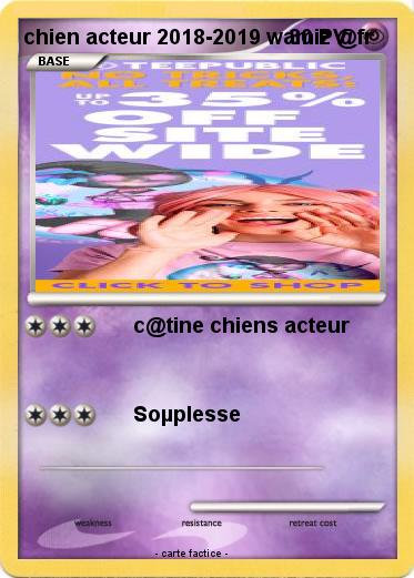 Pokemon chien acteur 2018-2019 wamiz @fr