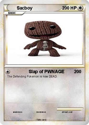Pokemon Sacboy