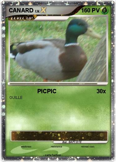 Pokemon CANARD
