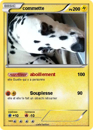 Pokemon commette