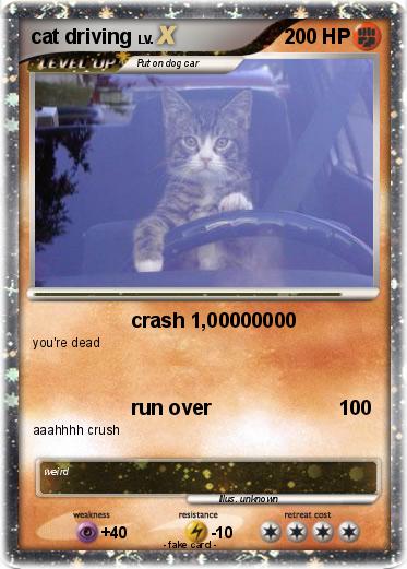 Pokemon cat driving
