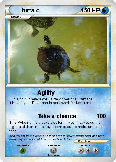 Pokemon turtalo