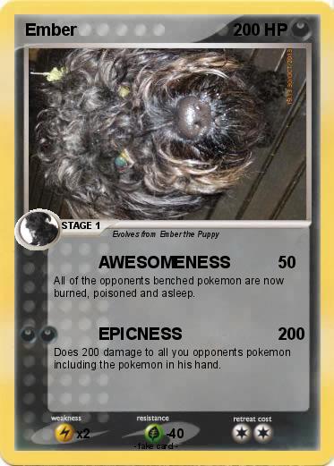 Pokemon Ember