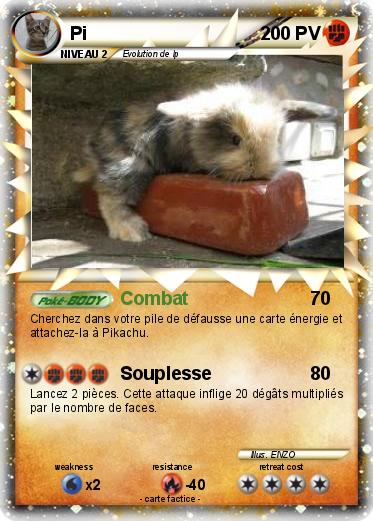Pokemon Pi