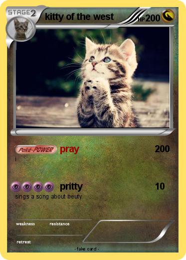 Pokemon kitty of the west