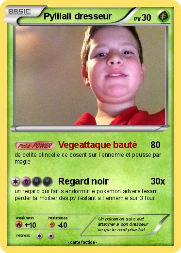 Pokemon Pylilali dresseur