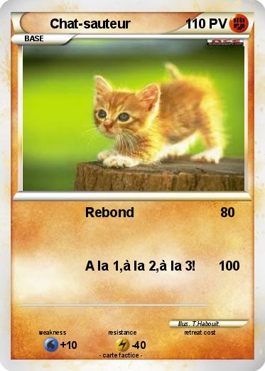 Pokemon Chat-sauteur