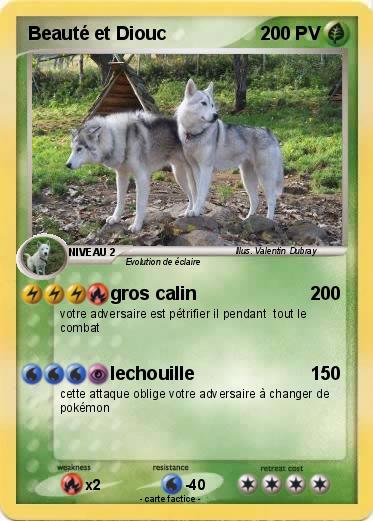 Pokemon Beauté et Diouc
