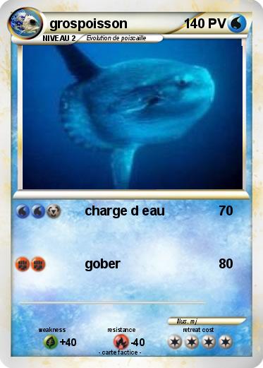 Pokemon grospoisson