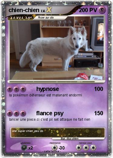 Pokemon chien-chien