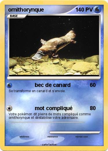 Pokemon ornithorynque