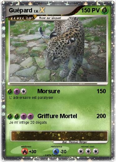 Pokemon Guépard