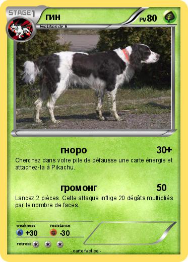 Pokemon гин