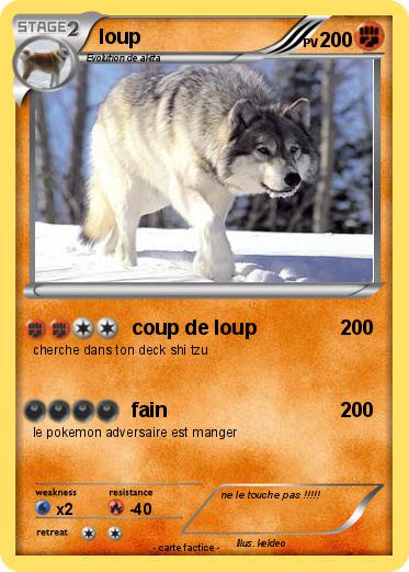 Pokemon loup