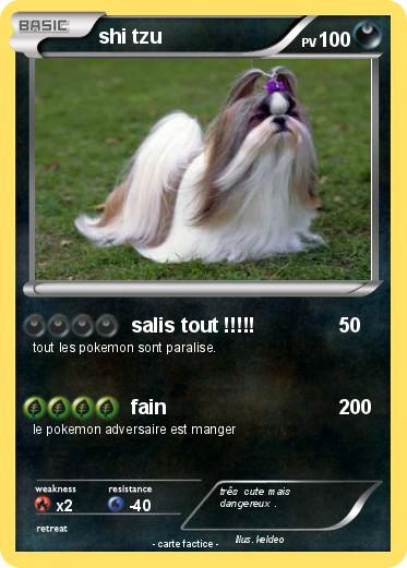 Pokemon shi tzu