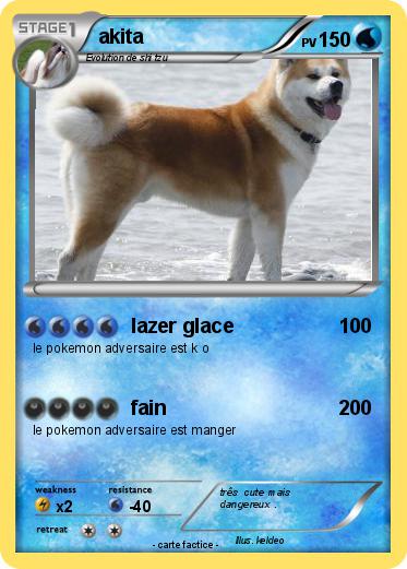 Pokemon akita