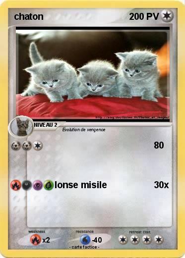 Pokemon chaton