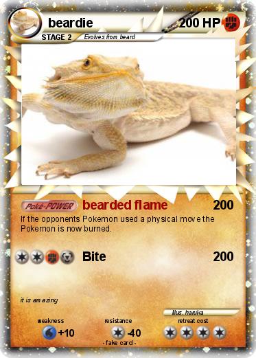 Pokemon beardie