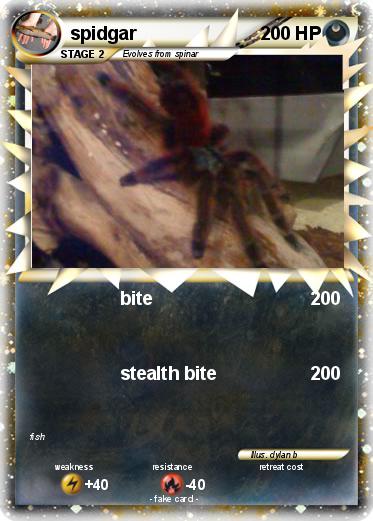 Pokemon spidgar