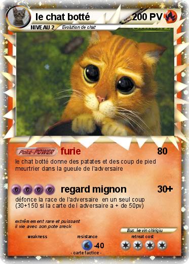 Pokemon le chat botté