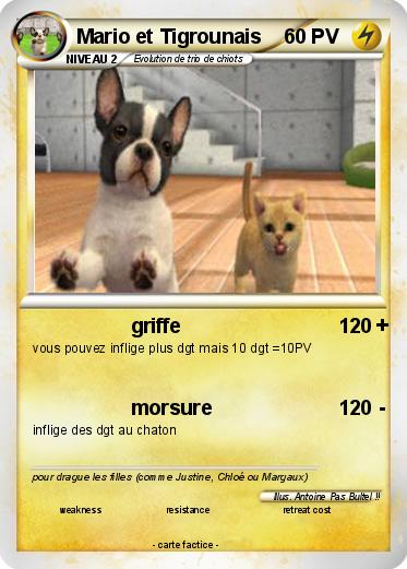 Pokemon Mario et Tigrounais
